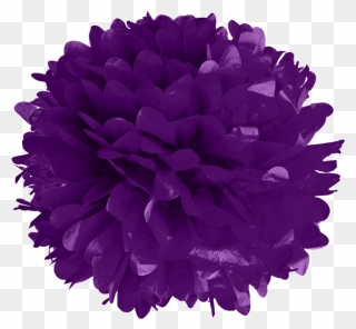 Purple Tissue Pom Poms - Pom-pom Clipart