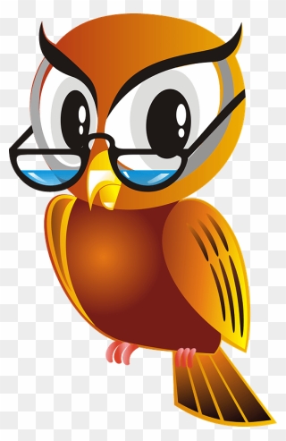 Owl In Glasses Clipart - Owl Glasses - Png Download