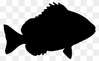 Fish Silhouette Clip Art - Fish Silhouette Transparent Background - Png Download