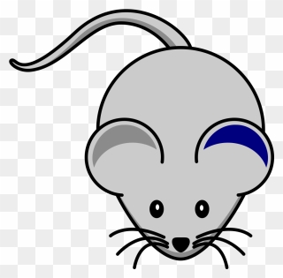 Grey Mouse Clipart - Png Download