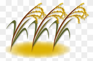 Ear Of Rice Clipart - Png Download