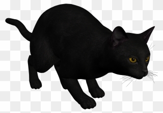 Clipart Black Cat Picture Transparent Stock Cat Black - Cat Pouncing Transparent - Png Download