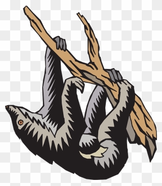 Sloth Hanging From Tree Clipart - Clip Art - Png Download