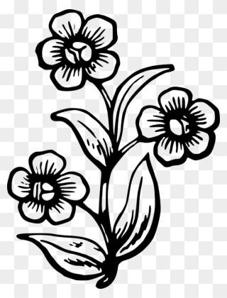 Flower Images Drawing Easy Clipart