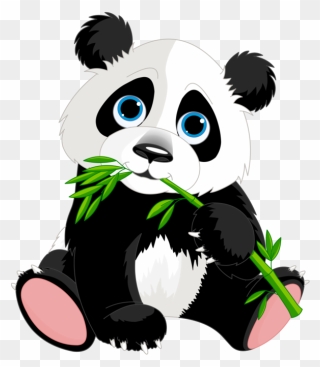 Panda Photo - Panda Clipart - Png Download