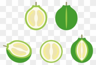 Lemon Euclidean Vector Icon Clipart