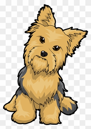 Yorkshire Terrier Puppy Maltese Dog English Toy Terrier - Cute Cartoon Yorkie Png Clipart