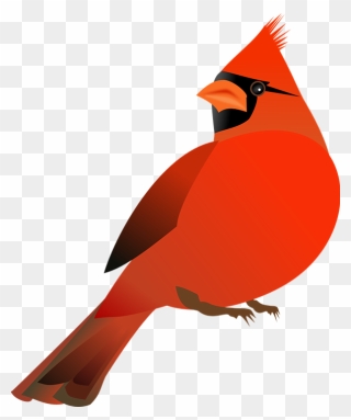Cardinal Clipart Northern Cardinal - Cardinal Clip Art Free - Png Download