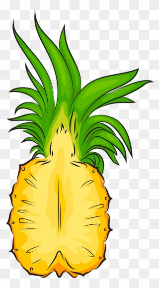 Pineapple Cut In Half Clipart - Half Pineapple Clipart - Png Download