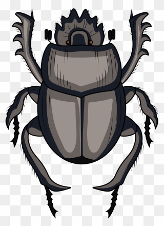 Scarabaeus Dung Beetle Clipart - Dung Beetle Clipart - Png Download