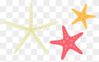 Starfish Sea Stars Clipart - Starfish - Png Download