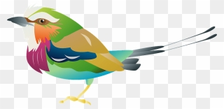 Lilac Breasted Roller Bird Clipart - Png Download