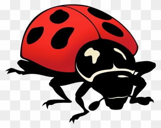 Ladybug Drawing Png - 岩手 の ゆる キャラ Clipart