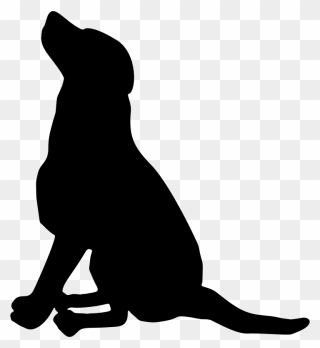 Labrador Retriever Pet Sitting Scotch Collie Greyhound - Dog Silhouette Clip Art - Png Download