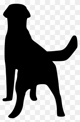 Labrador Retriever Puppy Dog Breed Dogo Argentino Clip - Back Of Labrador Silhouette - Png Download