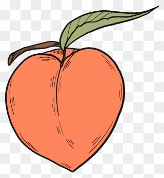 Peach Clipart - Png Download