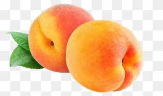 Juice Fruit Saturn Peach Ripening - Transparent Peach Clipart