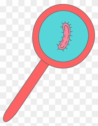 Bacteria In A Magnifying Glass Clipart - Bacteria Clipart - Png Download