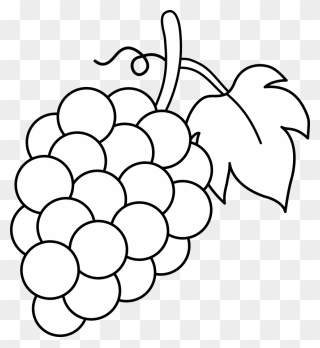 Free Images At Clker - Grapes Coloring Page Clipart