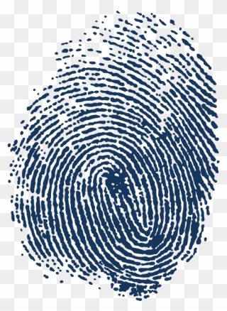 Automated Fingerprint Identification Spiral Adermatoglyphia - Fingerprint Png Clipart
