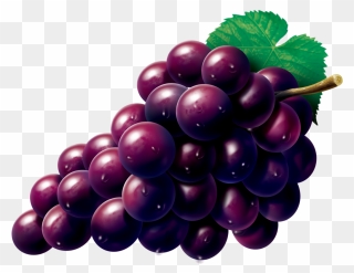 Grape Zante Currant Seedless Fruit - Grape Png Clipart