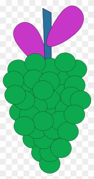 Transparent Green Grapes Clipart - Cartoon Grape Vine - Png Download