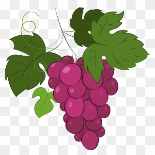 Grape Clipart - Seedless Fruit - Png Download