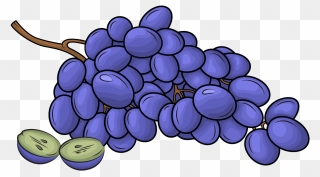 Black Grapes Clipart - Seedless Fruit - Png Download