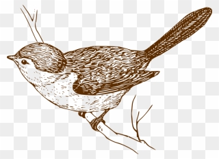 House Sparrow Bird Clip Art - Clip Art Vintage Bird - Png Download