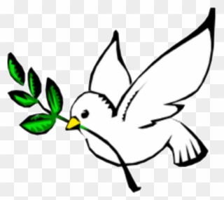 Columbidae Doves As Symbols Peace Olive Branch Clip - God The Holy Spirit Symbol - Png Download