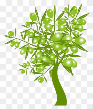 Olive Stock Photography Clip Art - Green Olive Tree - Png Download