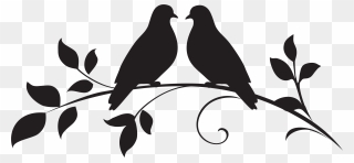 Dove Png Clipart Silhouette - Love Birds Clipart Black And White Transparent Png