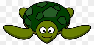 Tutrtle Clipart - Png Download