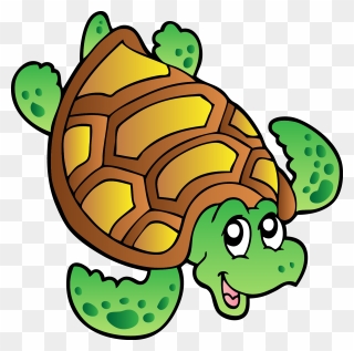 Turtle Images Cartoon Png Clipart