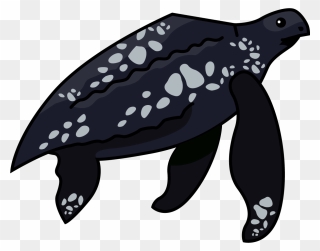 Leatherback Sea Turtle Clipart - Png Download