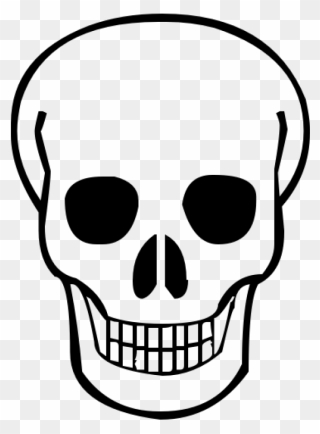 Skeleton, Skull Png Image - Skull Clipart Transparent Png