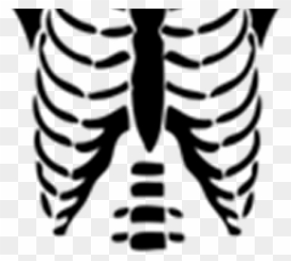 Transparent Clipart - Png Download