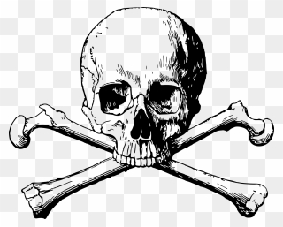 Skull And Bones Skull And Crossbones Calavera - Skull And Bones Png Clipart