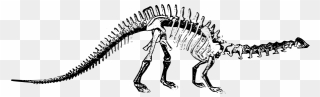 Brontosaurus Skeleton - Dinosaur Bones Transparent Background Clipart