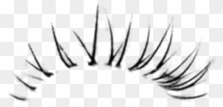 Transparent Unicorn Eyelashes Clipart - Eyelashes Png For Photoshop