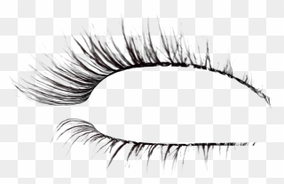 Free Png Eyelashes Clip Art Download Pinclipart