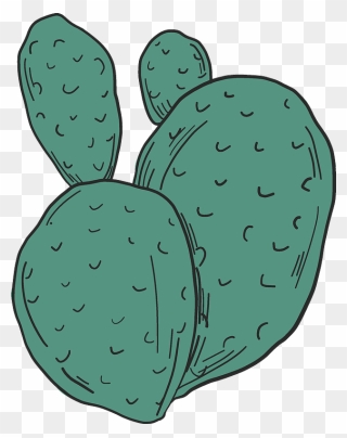 Cactus Clipart - Eastern Prickly Pear - Png Download
