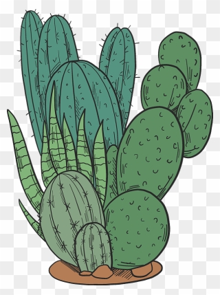 Cactuses Clipart - Eastern Prickly Pear - Png Download