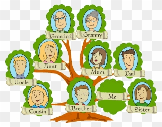 The Life Of A - Family Tree Clipart