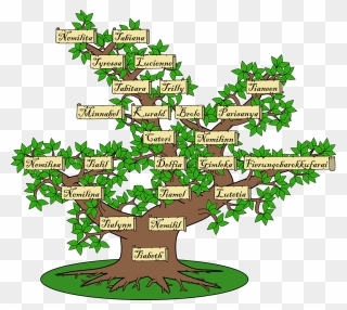 Family Tree And Genealogy Blog - Background Of Family Tree Clipart