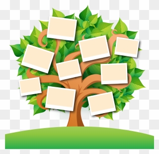 Family Tree Transparent Images Png - Transparent Family Tree Tree Clipart
