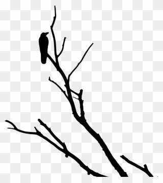 Monochrome - Crow On Tree Silhouette Clipart
