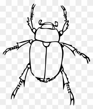 Insect Clipart Black And White Free Images 2 - Insect Clip Art Black And White - Png Download