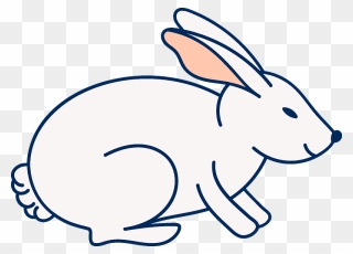 Easter Bunny Clipart - Cartoon - Png Download