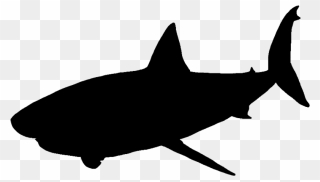 Great White Shark Vector Graphics Portable Network - Shark Silhouette Png Clipart